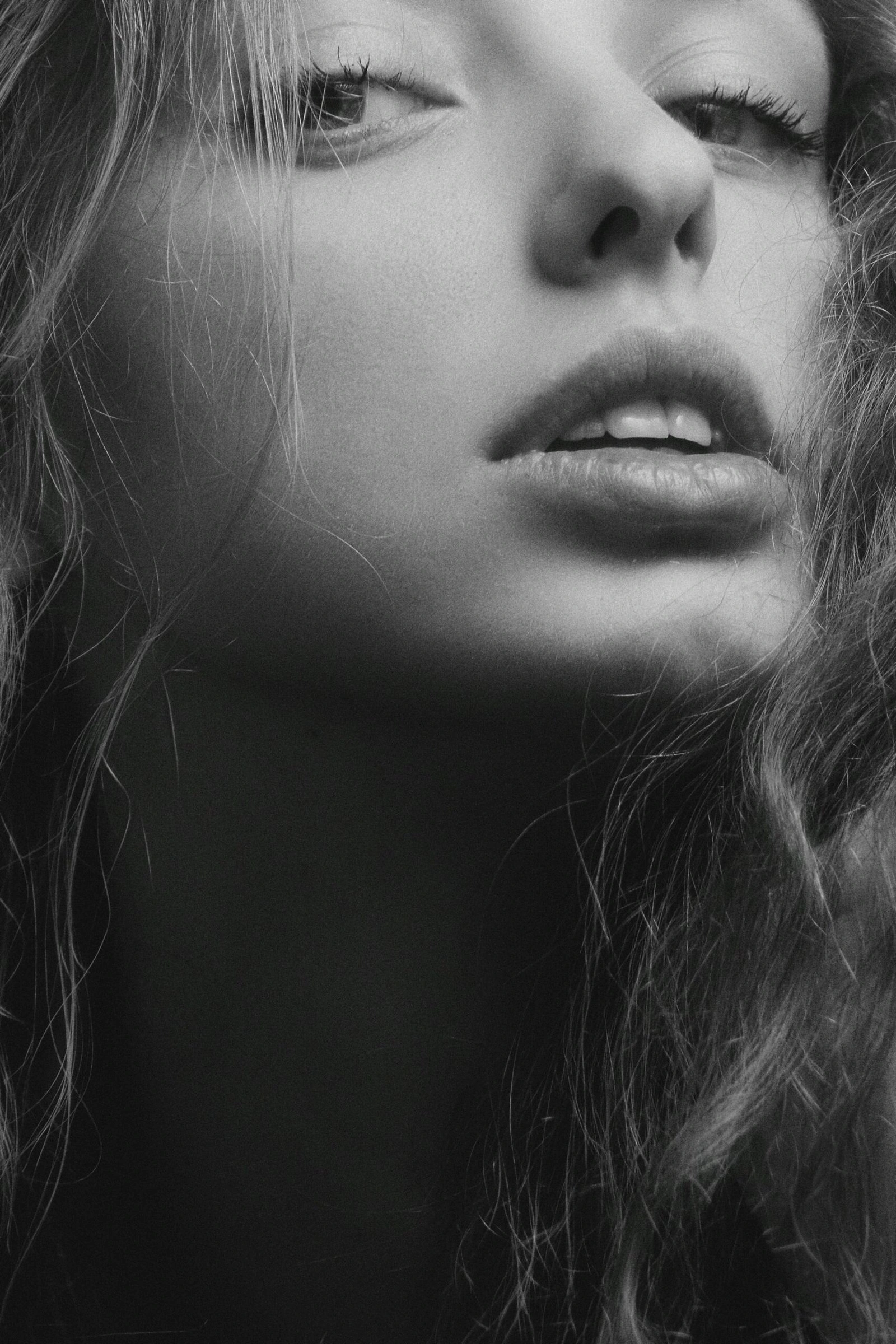 alexander krivitskiy 56fdwlwwbro unsplash