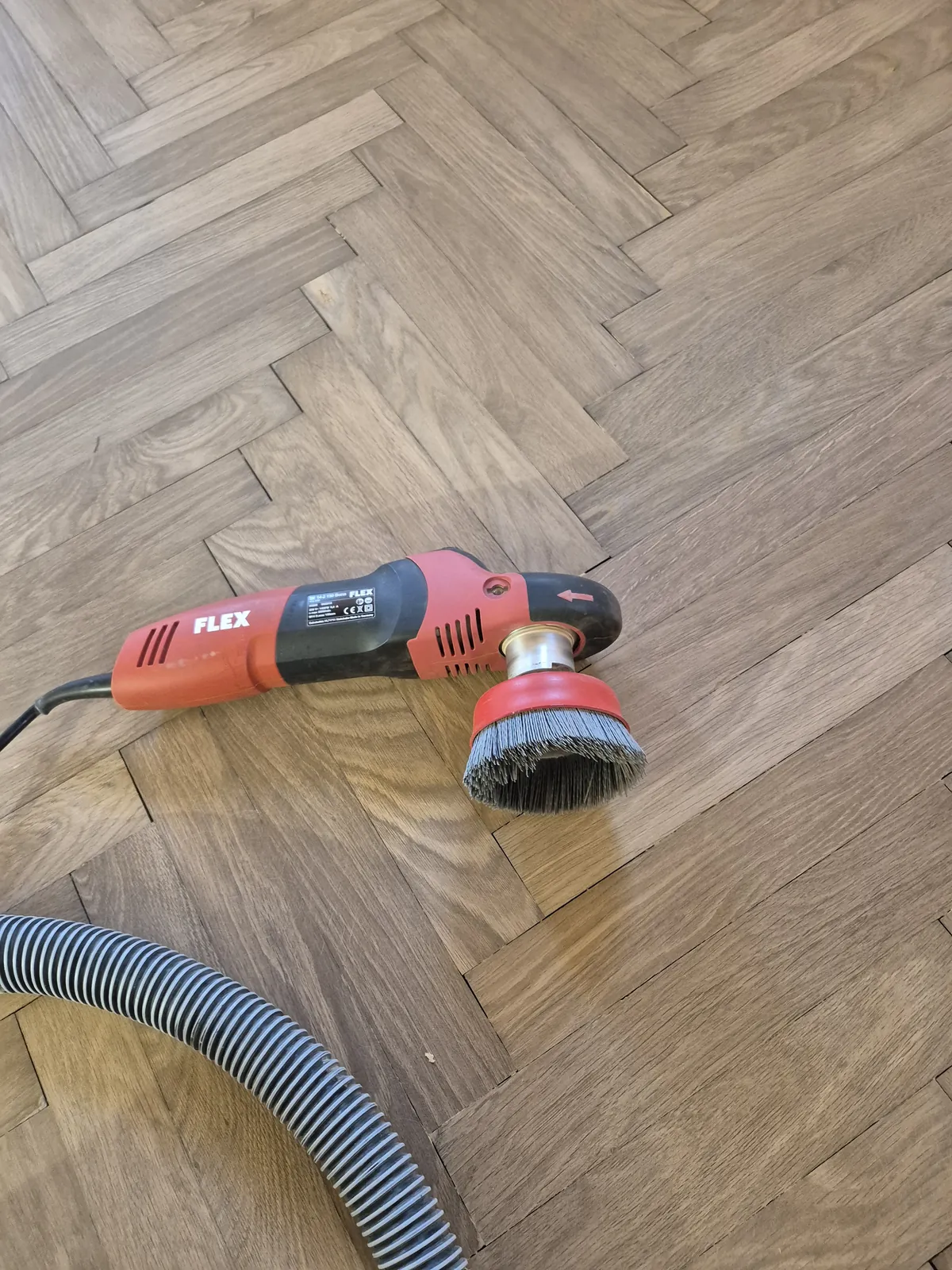 Ribja kost od blizu