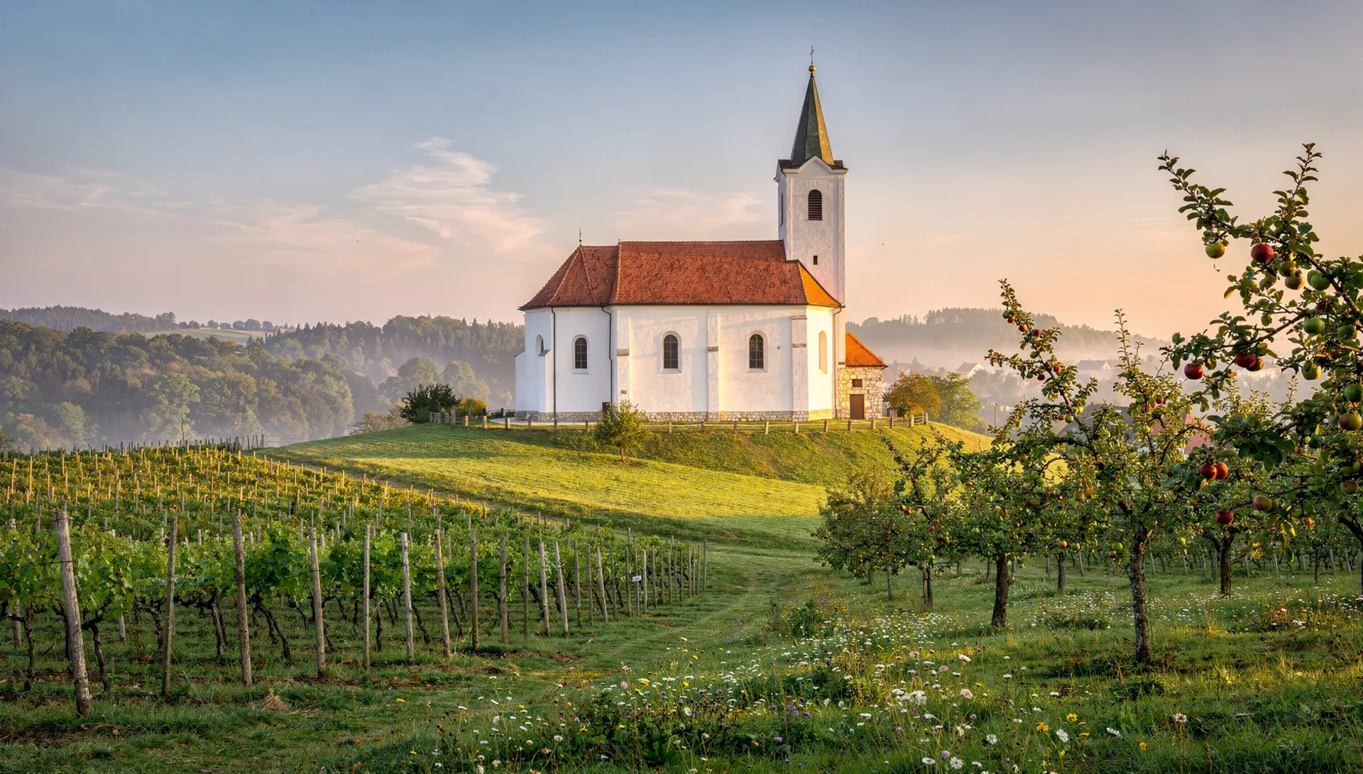 Prekmurska vas s cerkvenim zvonikom med vinogradi in polji