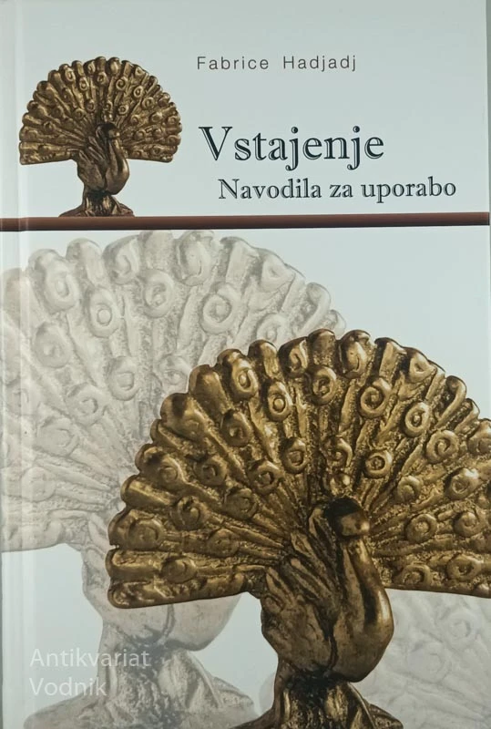 VSTAJENJE, NAVODILA ZA UPORABO, Fabrice Hadjadj