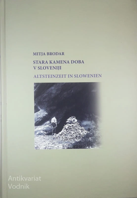 STARA KAMENA DOBA V SLOVENIJI, Mitja Brodar