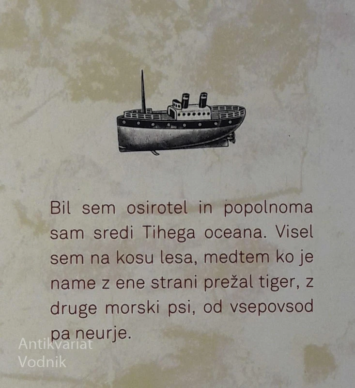 PIJEVO ŽIVLJENJE, Yann Martel