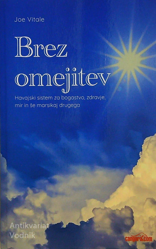 BREZ OMEJITEV, Joe Vitale