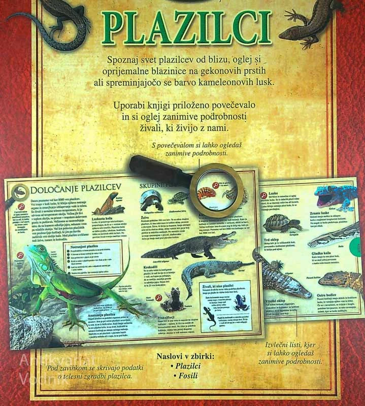 PLAZILCI; BLIŽNJE SREČANJE Z NENAVADNIM SVETOM, Barbara Taylor