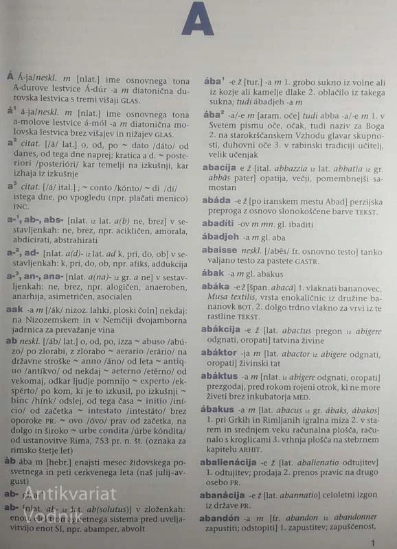 VELIKI SLOVAR TUJK