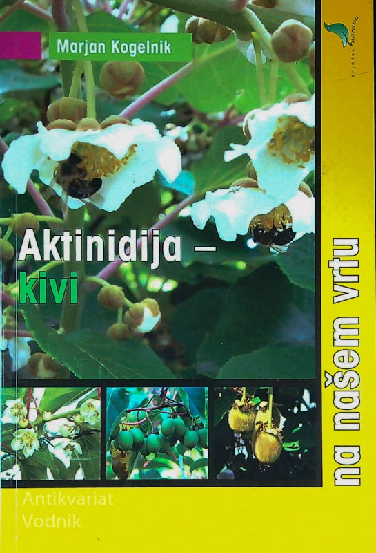 AKTINIDIJA – KIVI; NA NAŠEM VRTU, Marjan Kogelnik