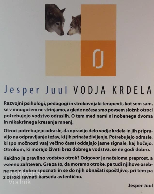 VODJA KRDELA, Vodenje družine z ljubeznijo, Jesper Juul