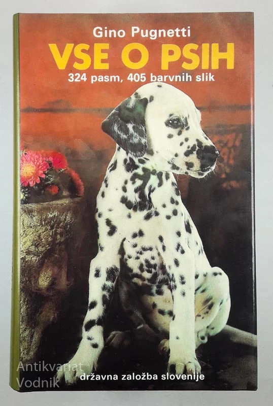 VSE O PSIH, Gino Pugnetti