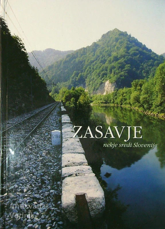 ZASAVJE; NEKJE SREDI SLOVENIJE