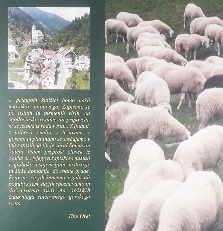 SOLČAVA; ZAPISKI O SOLČAVI IN NJENI OKOLICI, Valent Vider