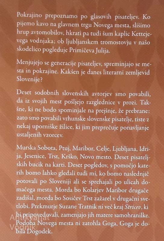 DOGODEK V MESTU, več avtorjev