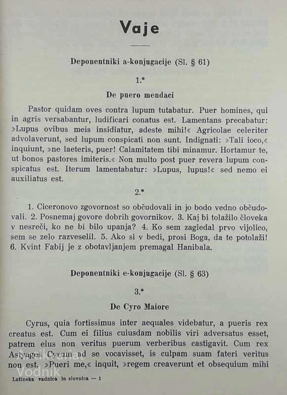 LATINSKA VADNICA IN SLOVNICA, Franc Belec