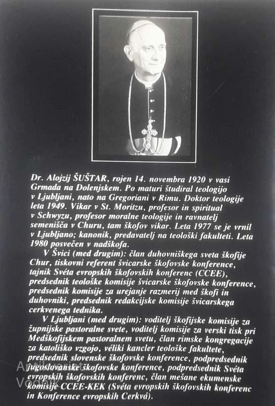 PREHOJENA POT, Alojzij Šuštar