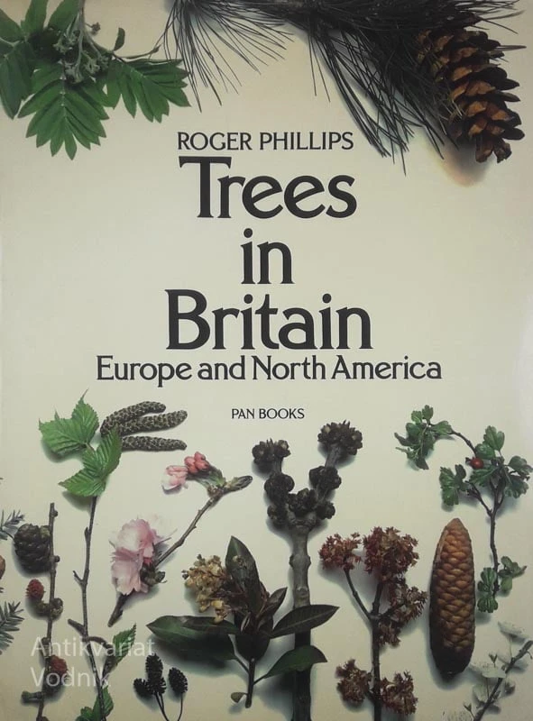 TREES IN BRITAIN EUROPE AND NORTH AMERICA, Roger Phillips