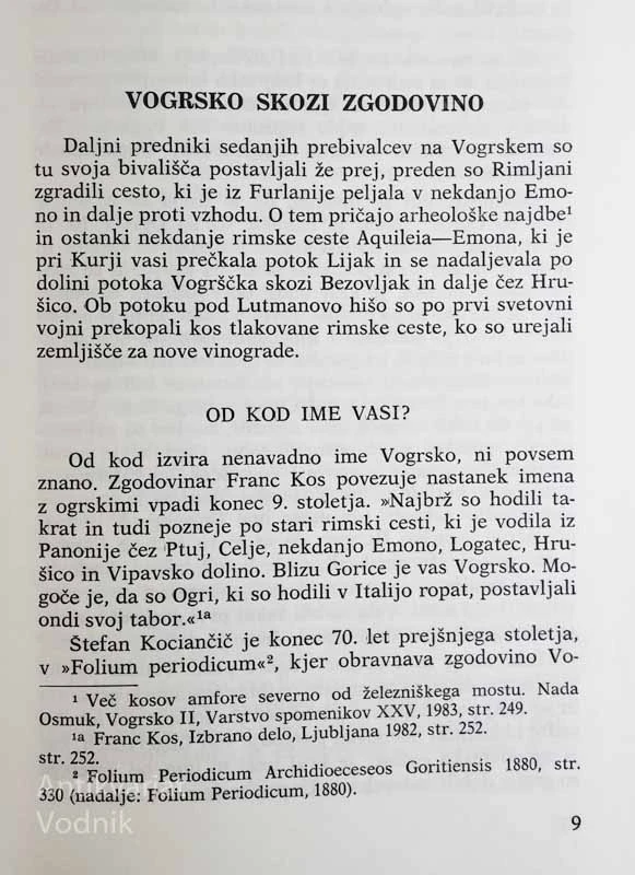 VOGRSKO V OGLEDALU ČASA, Julij Beltram
