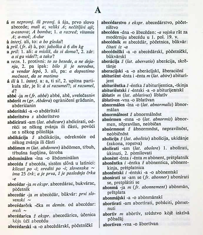 SLOVENSKO-HRVATSKI ILI SRPSKI RJEČNIK, Janko Jurančič