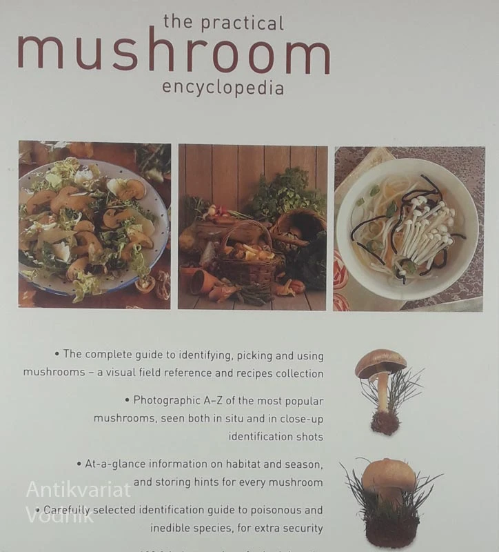 THE PRACTICAL MUSHROOM ENCYCLOPEDIA, Peter Jordan