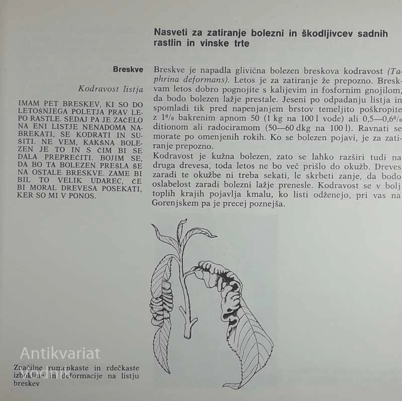 VARSTVO RASTLIN V VRTU IN SADOVNJAKU, Jože Maček