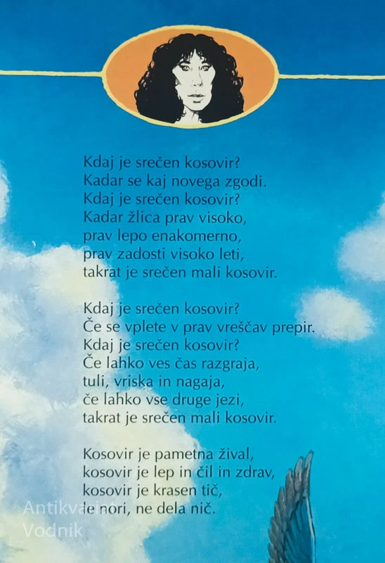 KOSOVIRJA NA LETEČI ŽLICI, Svetlana Makarovič
