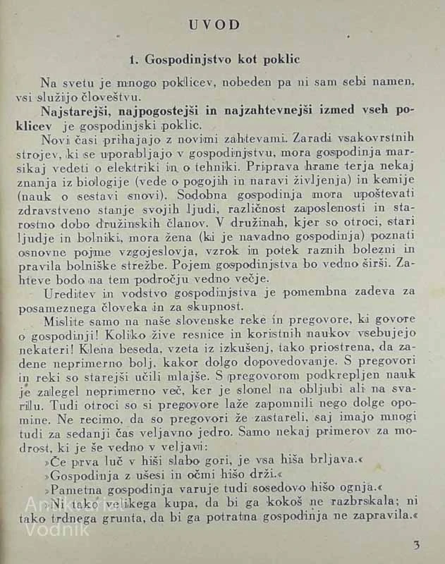 NA ŽENI DOM STOJI, Hedvika Puntar