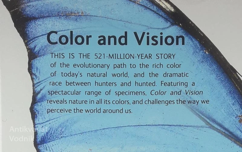 COLOR AND VISION, Steve Parker