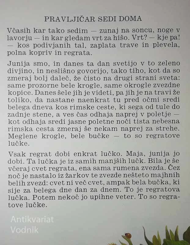 LUČKA REGRAT, Gregor Strniša in Ančka Goršnik – Godec