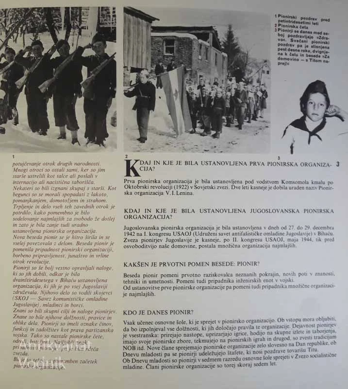 SKOZI TRNJE DO SVOBODE, Tatjana Pregl