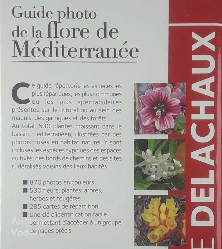 GUIDE PHOTO DE LA FLORE DE MEDITERRANEE, Peter In Ingrid Schonfelder