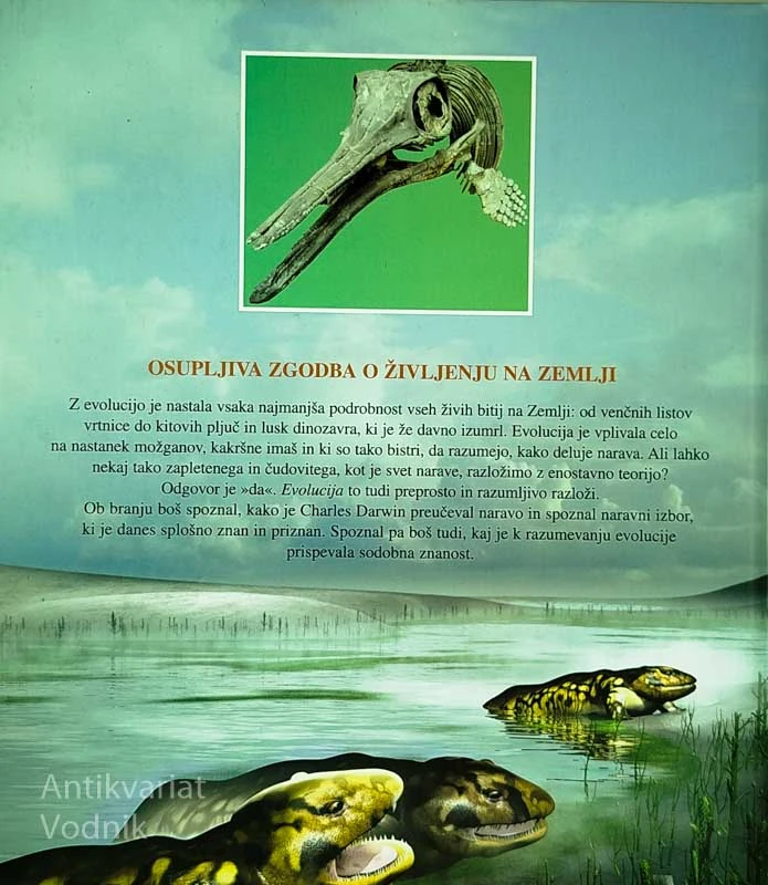 EVOLUCIJA; KAKO SMO NASTALI MI IN VSA ŽIVA BITJA, Daniel Lexton