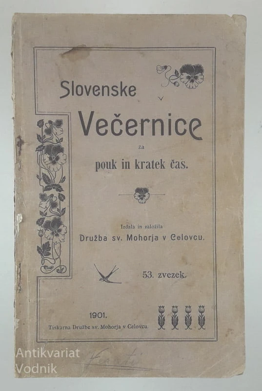 SLOVENSKE VEČERNICE ZA POUK IN KRATEK ČAS (53. ZVEZEK)