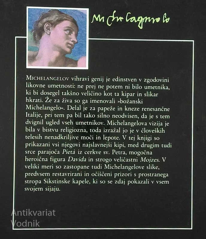 ŽIVLJENJE IN DELO: MICHELANGELO, Nathaniel Harris