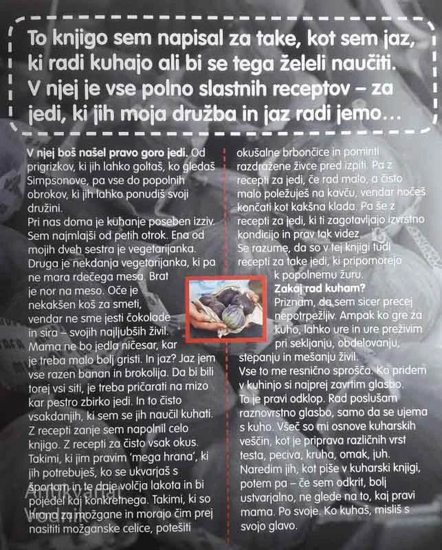 VIHAR MED LONCI; KUHARSKA KNJIGA PREŽIVETJA ZA NAJSTNIKE, Sam Stern