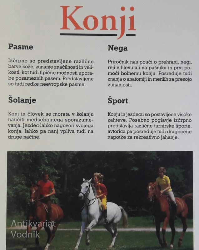 KONJI: pasme, nega, šolanje, šport, H. Werner