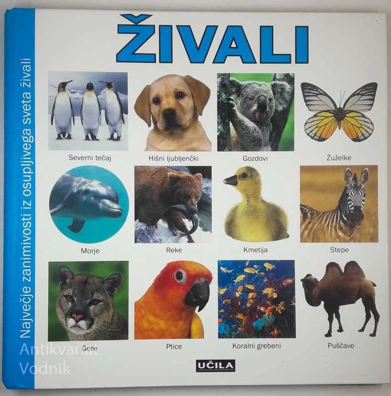 ŽIVALI, Barbara Taylor