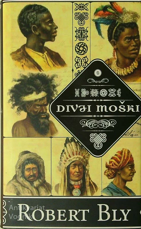 DIVJI MOŠKI, Robert Bly