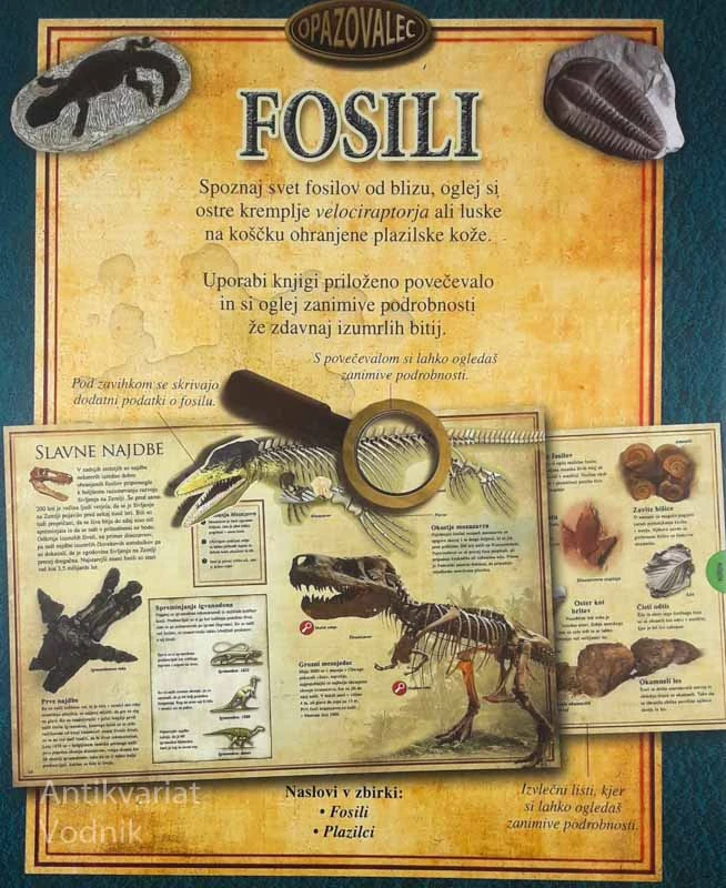 FOSILI