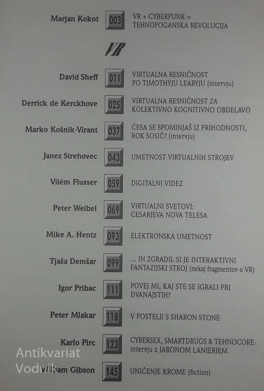 VIRTUALNA RESNIČNOST, več avtorjev