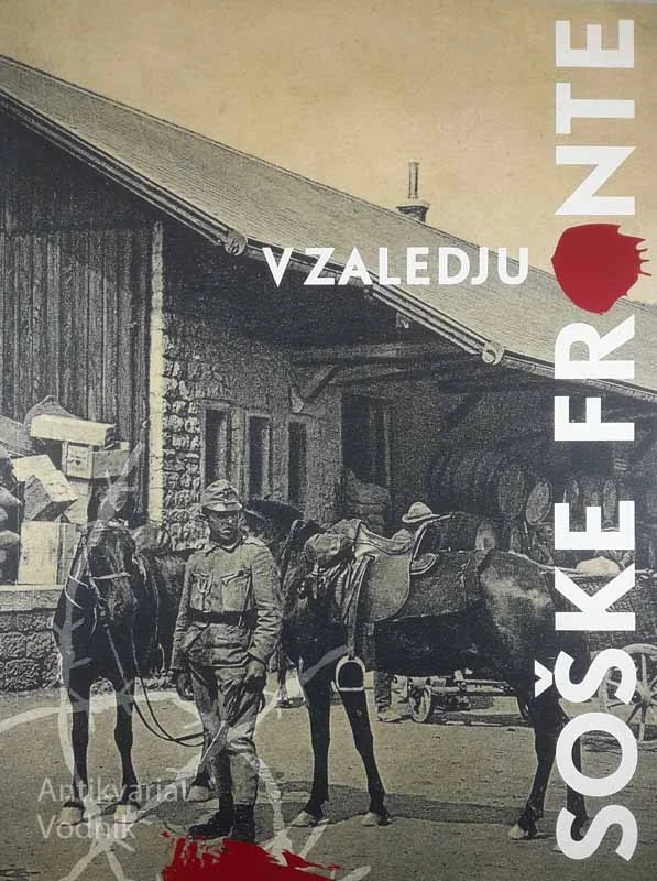 V ZALEDJU SOŠKE FRONTE, Judita Šega