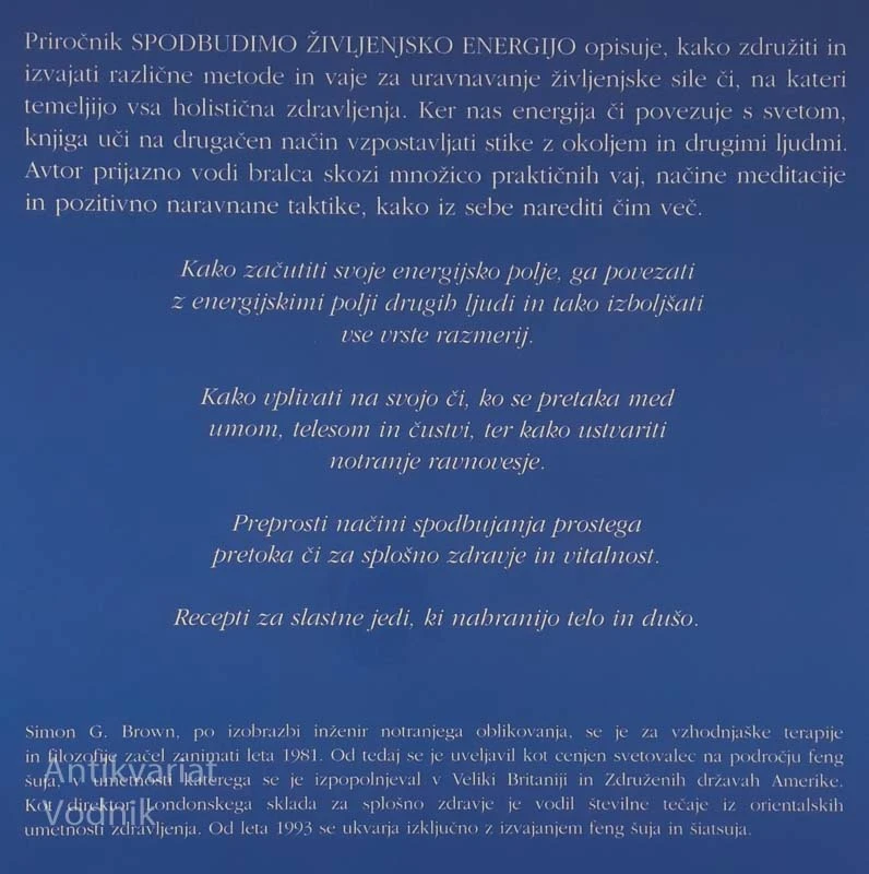 SPODBUDIMO ŽIVLJENJSKO ENERGIJO, Simon G. Brown