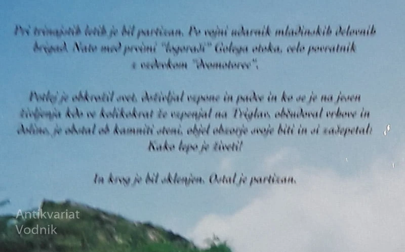 VIHARNIK NA RAZPOTJIH ČASA, Radovan Hrast