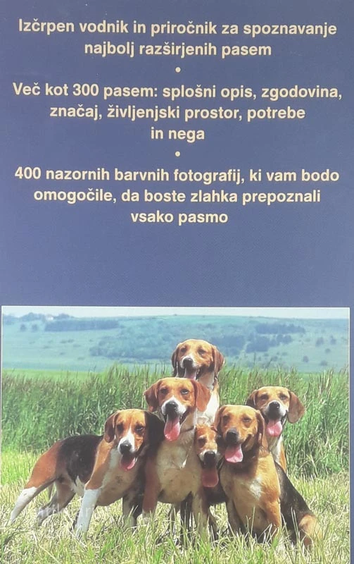 PSI, Rino Falappi