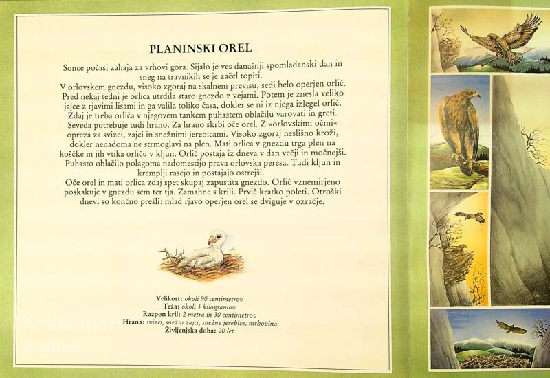 ŠE VEDNO NOSIMO OTROŠKA OBLAČILA, Susanne Riha