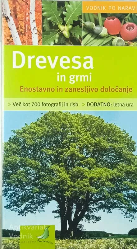 DREVESA IN GRMI; ENOSTAVNO IN ZANESLJIVO DOLOČANJE
