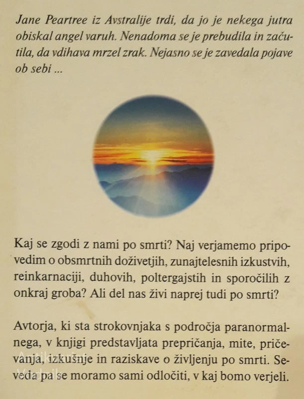 ŽIVLJENJE PO SMRTI, Jenny Randles in Peter Hough