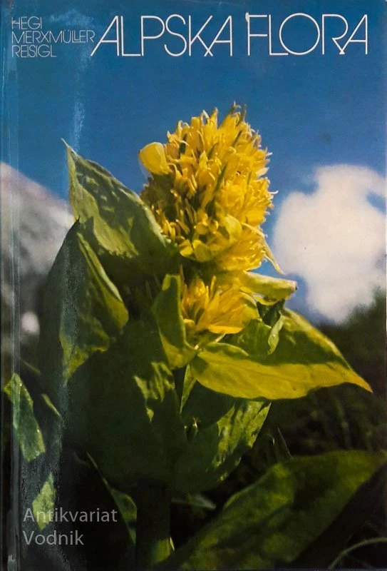 ALPSKA FLORA, Hegi Merxmuller Reisigl