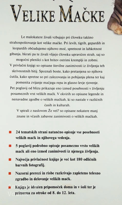 VELIKE MAČKE, Rhonda Klevansky