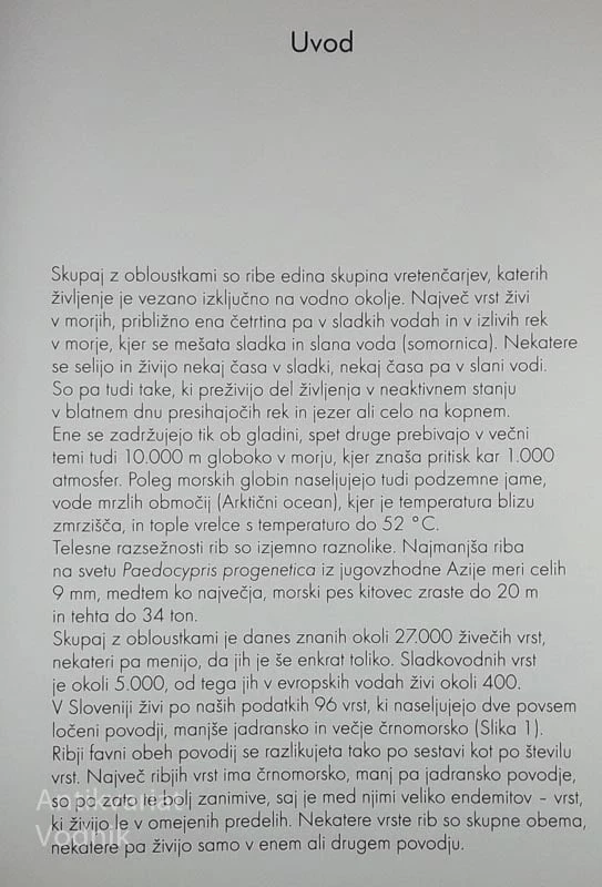 SLADKOVODNE RIBE IN PIŠKURJI V SLOVENIJI, več avtorjev