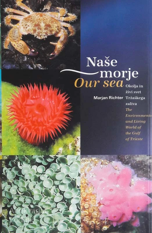 NAŠE MORJE/OUR SEA,  Marjan Richter