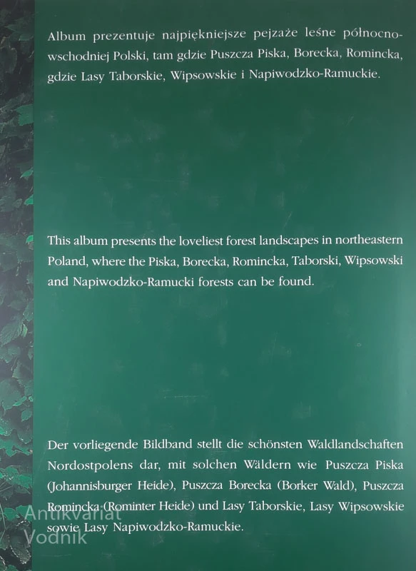 LAS THE FOREST DER WALD, Mieczysław Wieliczko