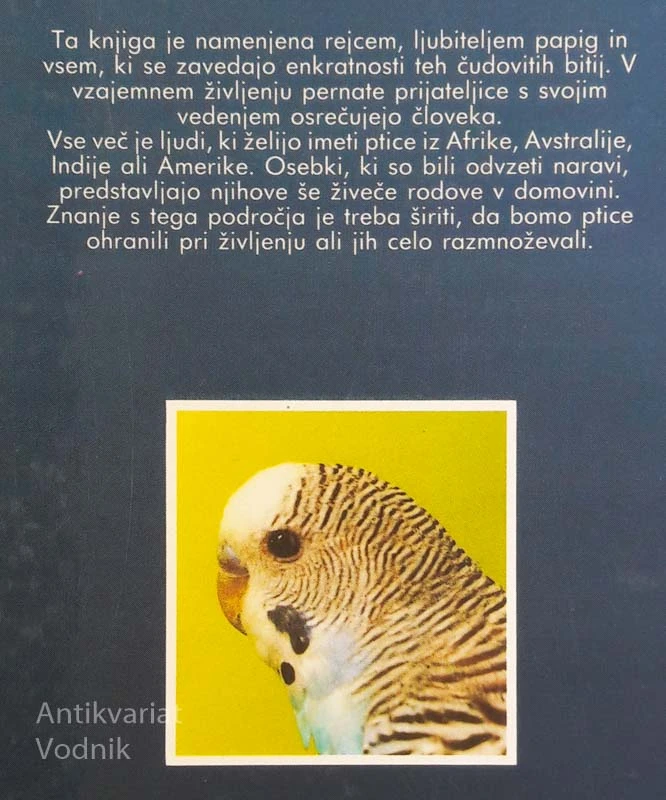 PAPIGE, Zlatko Golob